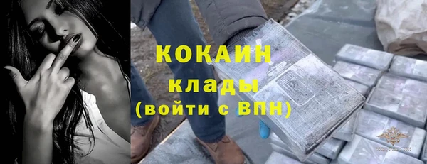 ешки Вяземский