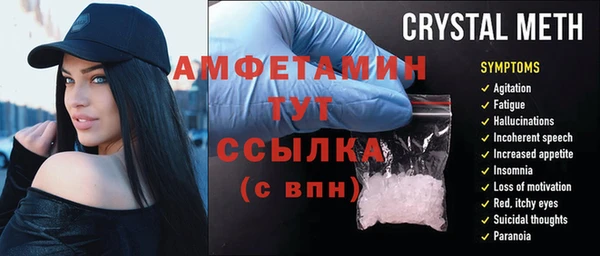 индика Волосово