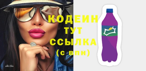 индика Волосово