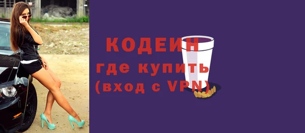 индика Волосово