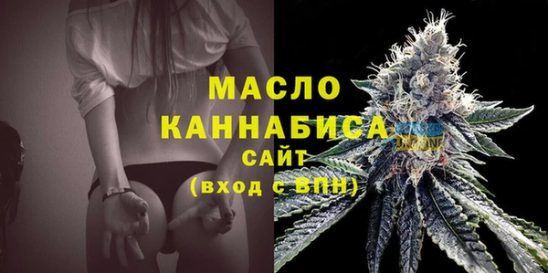 индика Волосово
