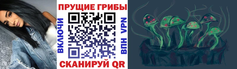 Купить  Кандалакша  Галлюциногенные грибы мицелий 